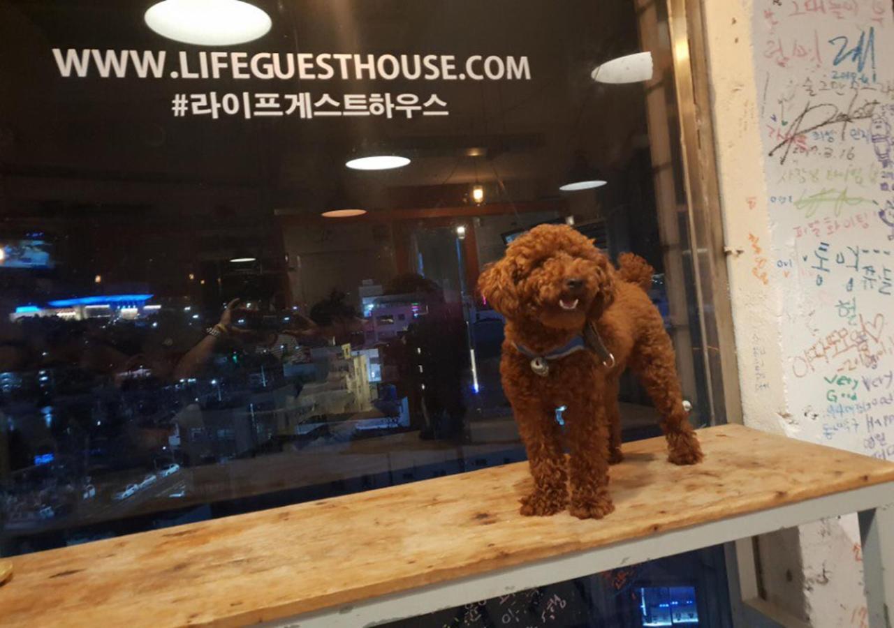 Lifeguesthouse 통영 외부 사진